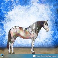 Horse Color:Nacre Bay Ice Onyx Tobiano 