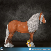 Horse Color:Silver Bay 