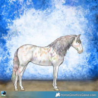 Horse Color:Nacre Silver Amber Cream Champagne Ice Onyx Sabino Near Leopard