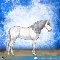 Horse Color:Nacre Silver Sable Champagne Ice Onyx Sabino Splash Frame Appaloosa 