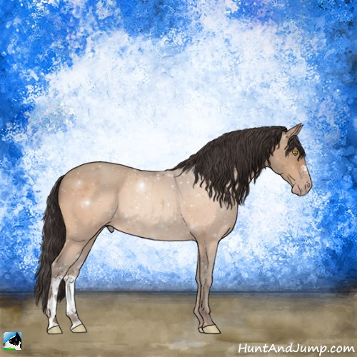 Horse Color:Amber Champagne 