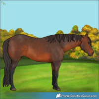 Horse Color:Brown 