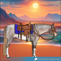 Horse Color:Liver Red Roan Tobiano