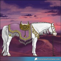 Horse Color:Silver Sable Champagne Chinchilla Roan Sabino Splash 