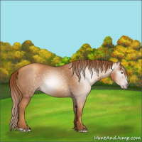 Horse Color:Gray Gold Champagne 