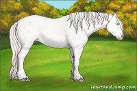 Horse Color:Perlino 