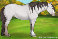 Horse Color:Platinum Classic Champagne Dun 
