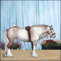 Horse Color:Gray Silver Black Pearl Tobiano