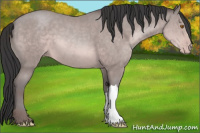 Horse Color:Platinum Sable Champagne 