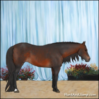 Horse Color:Brown 