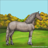 Horse Color:Silver Grullo Roan Tobiano 
