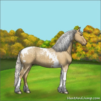 Horse Color:Silver Smoky Grullo Tobiano 