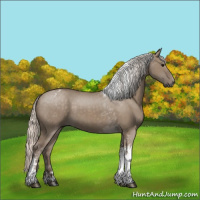 Horse Color:Silver Grullo Tobiano 