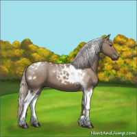 Horse Color:Silver Grullo Tobiano 