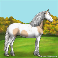Horse Color:Silver Bay Roan Dun Splash Tobiano 