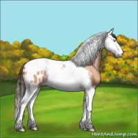Horse Color:Amber Champagne Splash Tobiano Appaloosa 