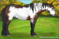 Horse Color:Brown Frame 