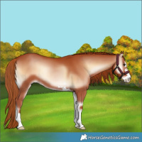 Horse Color:Red Onyx 