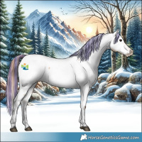 Horse Color:Painted Bay Dun Appaloosa 