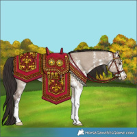 Horse Color:Liver Red Dun Sabino 