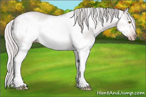 Horse Color:Gray Platinum Silver Classic Champagne Roan Dun Splash Frame 