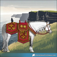 Horse Color:Gray Bay 