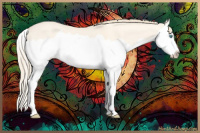 Horse Color:Perlino Dun Splash 