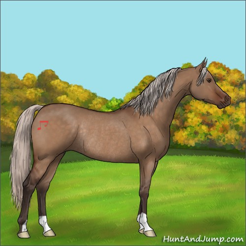Horse Color:Silver Brown Dun Rabicano 
