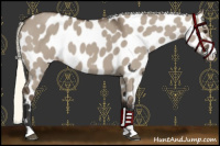 Horse Color:Liver Red Dun Mushroom Near Leopard 