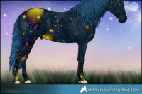 Horse Color:ERROR: UNKNOWN ANOMALY