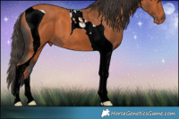 Horse Color:ERROR: UNKNOWN ANOMALY