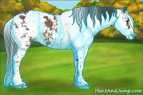 Horse Color:Thunderstruck Liver Chestnut Sabino Rabicano 