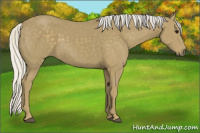 Horse Color:Silver Smoky Black 