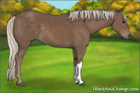 Horse Color:Silver Black 