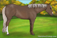 Horse Color:Silver Black 