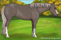Horse Color:Silver Black 