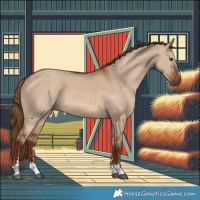 Horse Color:Red Dun 