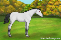 Horse Color:Bay Chinchilla 