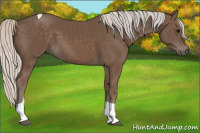 Horse Color:Silver Black Tobiano 