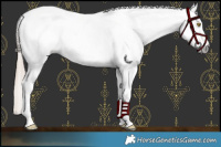 Horse Color:Gray Bay Pearl Dun Snowcap 