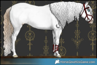 Horse Color:Buckskin Pearl Appaloosa 