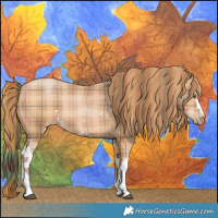 Horse Color:Plaid White Spotted Bay Pearl