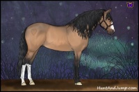 Horse Color:Bay Dun