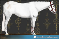 Horse Color:Gray Liver Red Dun Pearl Blanket 