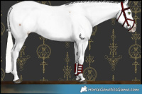 Horse Color:Silver Brown Pearl Near Fewspot 