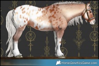 Horse Color:Silver Bay Onyx Appaloosa