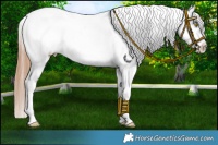 Horse Color:Brown Pearl Dun Snowflake Varnish