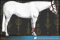 Horse Color:Gray Palomino Pearl Snowflake Varnish 