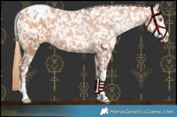Horse Color:Bay Pearl Snowflake Varnish 
