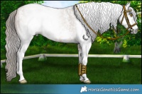 Horse Color:Gray Brown Pearl Sabino